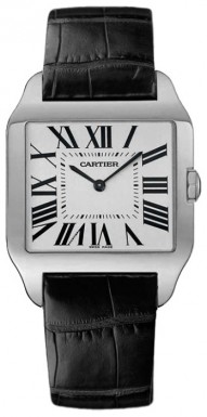 Cartier W2007051 Cartier W2007051