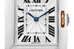 Cartier W5310019