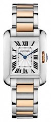 Cartier W5310019