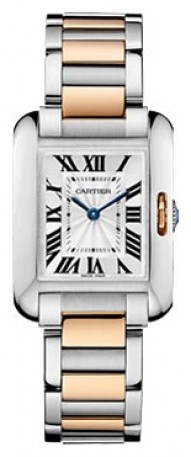 Cartier W5310019