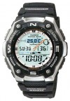 Casio AQW-101-1A